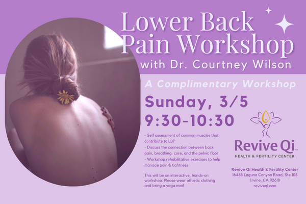 Lower Back Pain Complimentary Workshop with Dr. Courtney Wilson - Sunday, March 5th