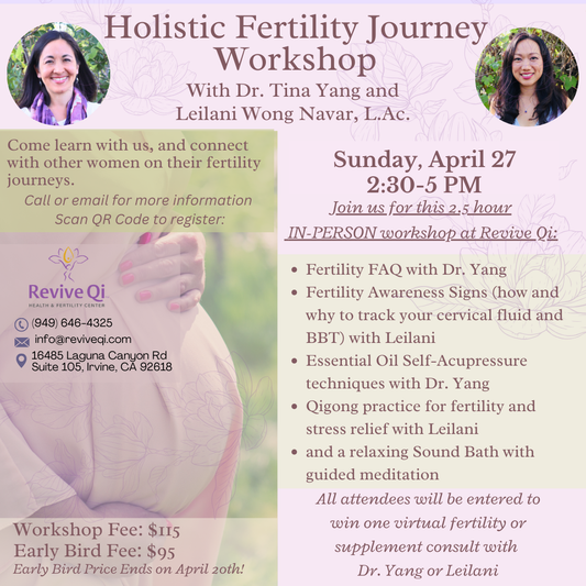 Fertility Journey Workshop