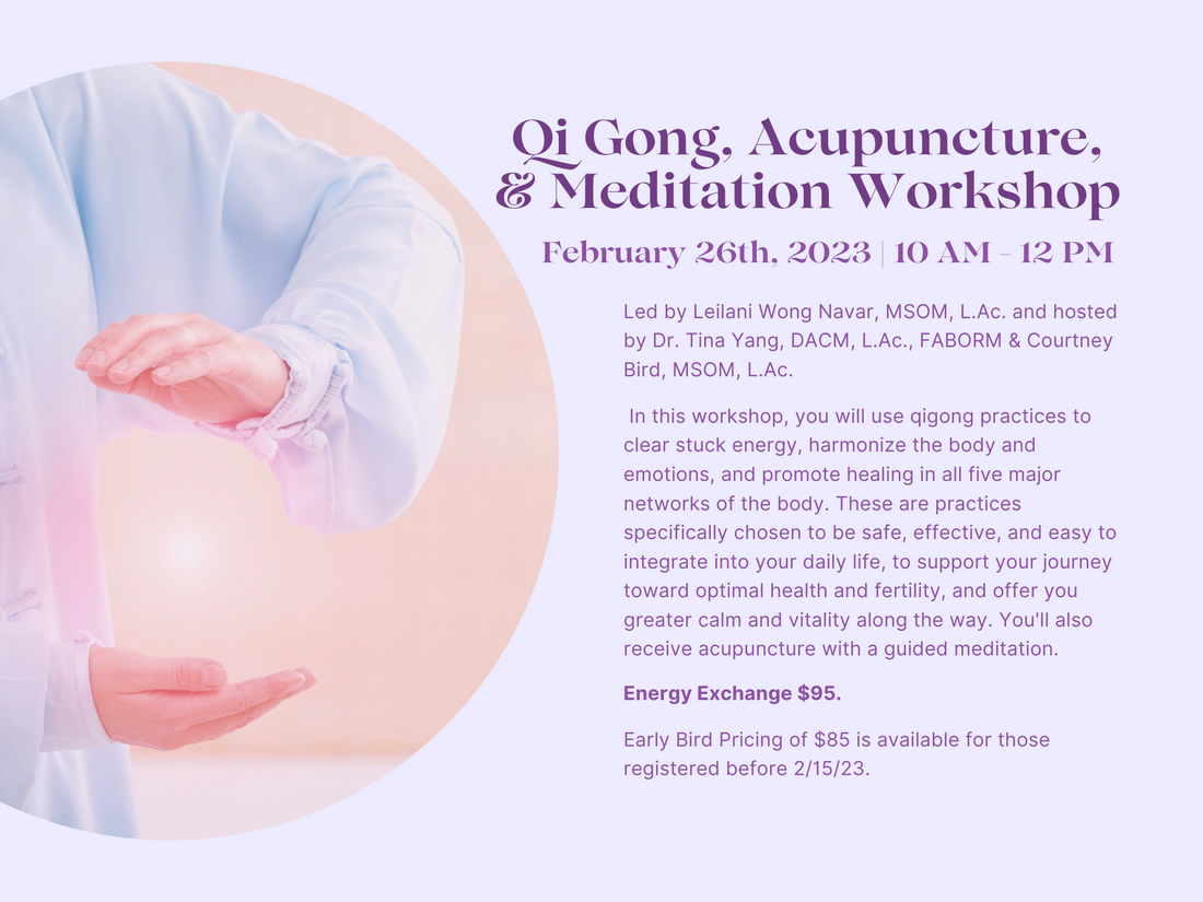 Qi Gong, Acupuncture and Meditation Workshop