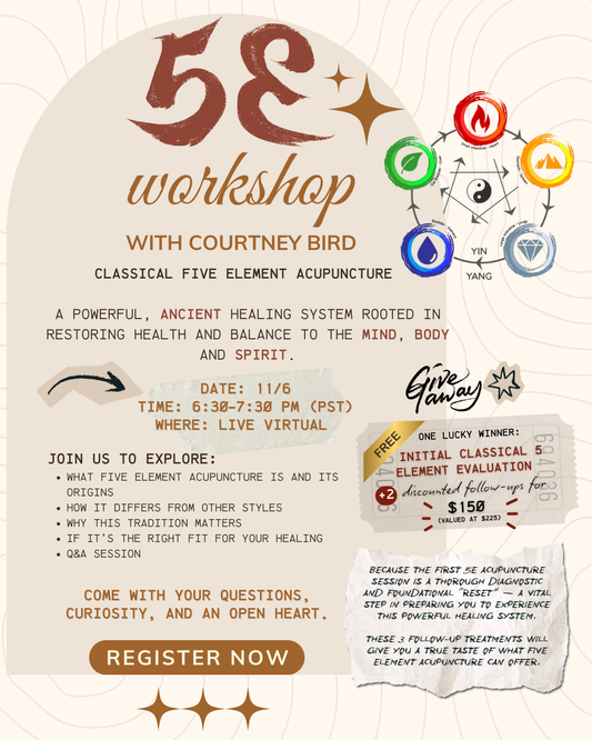 5E Workshop - November 2025
